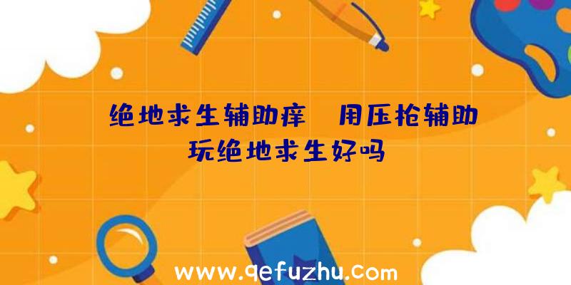 「绝地求生辅助痒」|用压枪辅助玩绝地求生好吗